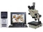 實體圖像顯微鏡或數(shù)碼攝影實體顯微鏡，配置了高清晰度的圖像傳感攝像機 (或數(shù)碼相機)，可以將顯微成像由計算機進行處理、編輯、保存和輸出 (如打印等)或進入多媒體系統(tǒng)及電子信箱。
